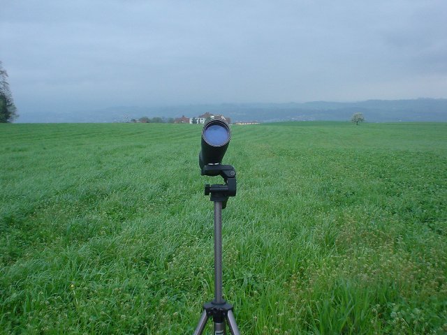 DSC02442_small.jpg