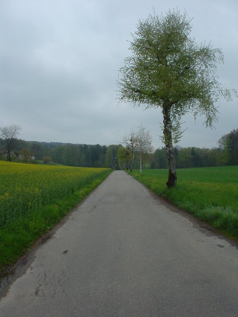 DSC02451_small.jpg