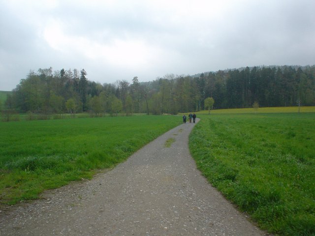 DSC02452_small.jpg